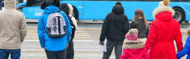 Печальная статистика: в 2025 году в ДТП с участием пешеходов пострадали 248 человек, 15 погибли