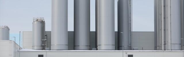 Суд начал банкротное производство крупнейшего производителя сыра в Эстонии