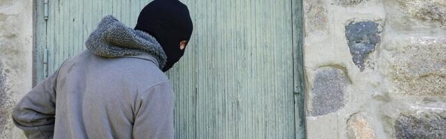 В Эстонии осудили совершавшего кражи со взломом гражданина Грузии: два года тюрьмы и депортация