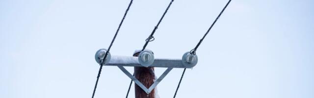 На клиента обрушился счет в 760 евро за электричество на пустой даче, но Elektrilevi настояла на своем