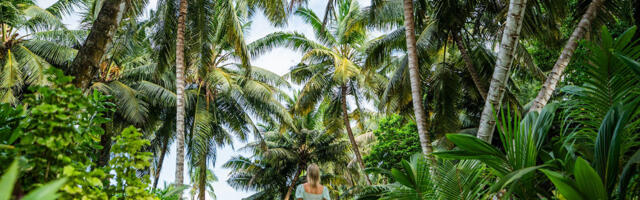 Сейшелы в апреле: отдых с развлечениями, спа и пасхальной программой