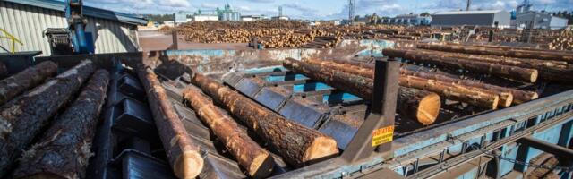 „Приспосабливаемся к сложным временам“. Очередная крупная компания сокращает в Эстонии руководящий состав