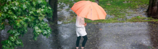 В понедельник во многих меcтах дождь, +5...+9