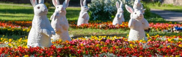 В Эстонии откроется уникальный тематический парк «Алиса в Зазеркалье» — с новыми аттракционами и декорациями