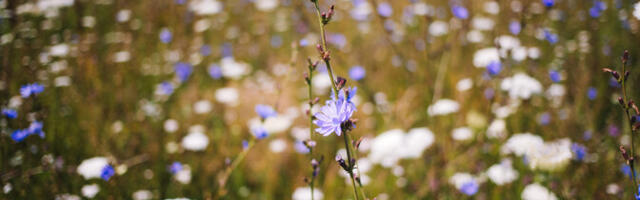 В субботу воздух прогреется до 19 градусов