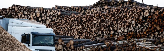 Экспериментальный биозавод запускает производство древесного сахара