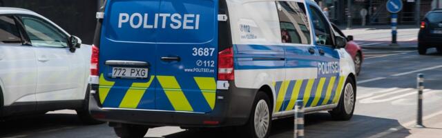 15-летний водитель мопеда сбил лосенка. Что еще произошло на дорогах за сутки? 