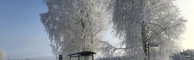 Климатолог: из-за короткой памяти обычная зима кажется некоторым людям исключительной