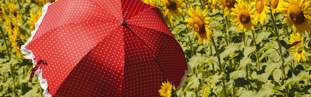 Прогноз погоды до воскресенья, 29 июня: тепло и дождливо