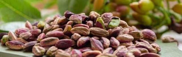 Конфликт в Иране и мода на дубайский шоколад взвинтили мировые цены на фисташки