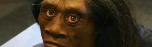 Эксперты разгадали тайну исчезнувших людей-хоббитов