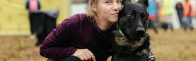 Тест: угадайте, для чего выводили породу собаки — участника кросса Быстрый пёс