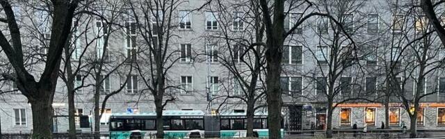 На Театральной площади в Таллинне разобьют цветочный луг