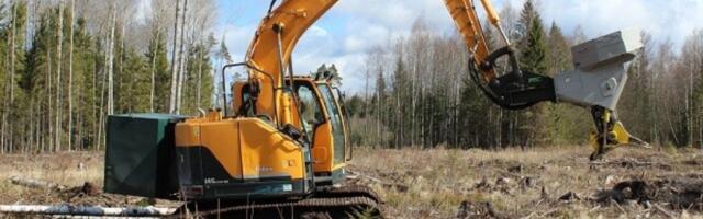 Начат уголовный процесс о поддержке лесопромышленников