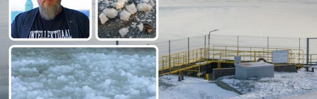 Профессор: Чтобы восстановить доверие, Tallinna Vesi должна обнародовать всю информацию о новогоднем отключении воды