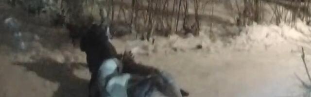 Стартовые пистолеты в руках опасного рецидивиста из Тарту: из игрушки сделал оружие