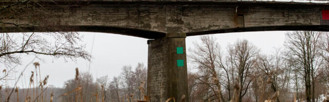 В Тартумаа хотят снести мост Луунья