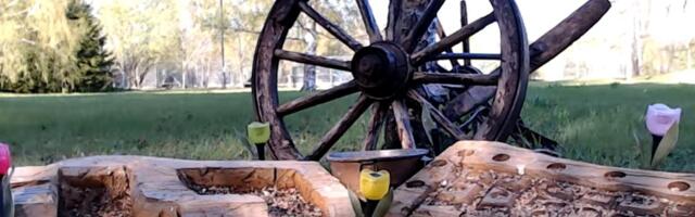 ВИДЕО | Полный релакс: смотрите онлайн на птичек и мышек