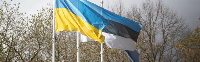 Опрос: более половины жителей Эстонии поддерживают снятие украинских флагов