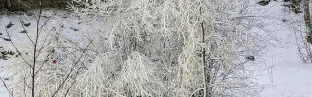 В пятницу ясная погода, -12...-17