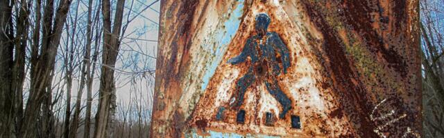 DELFI В УКРАИНЕ | Что происходит в Чернобыле сейчас: живут около 100 человек, есть церковь