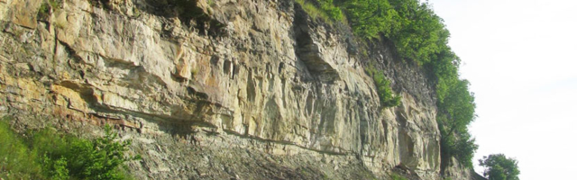 С обрыва Тюрисалу упал и разбился насмерть мужчина