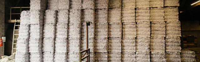 Более 90% собранной в Эстонии макулатуры вывозится на переработку в другие страны