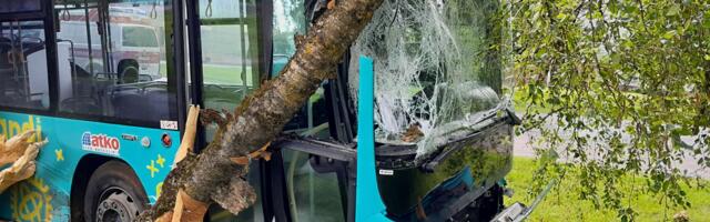 В Тарту сжигали мусор, в Валга — покрышки: спасатели провели серию выездов