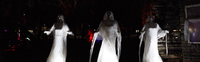 "Горизонт": Таллиннское певческое поле превратилось в Хэллоуин-парк