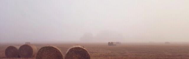 Синоптики: август будет дождливым, но теплым