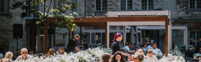 Наконец-то! В выходные будет по-летнему тепло и солнечно