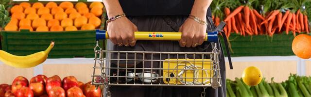 Тележка Lidl стала сумкой: редкий модный аксессуар появился и в Эстонии
