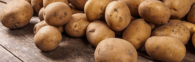 Как вырастить много картофеля при минимальном уходе