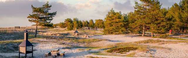 Первый миллион: во время чрезвычайного положения люди ищут возможности для отдыха в лесу