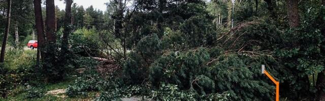 Спасательный департамент предупреждает: Эстонию атакует шторм