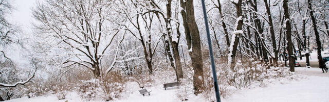 Морозы ожидаются с середины декабря