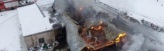 „Сгорело не только здание, но и маленькие сердца“. В Литве сгорел приют для животных