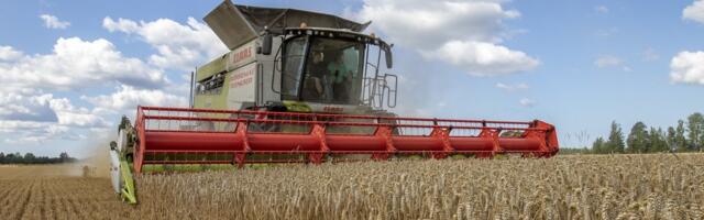 Россия объявила о выходе из зерновой сделки. Что это значит