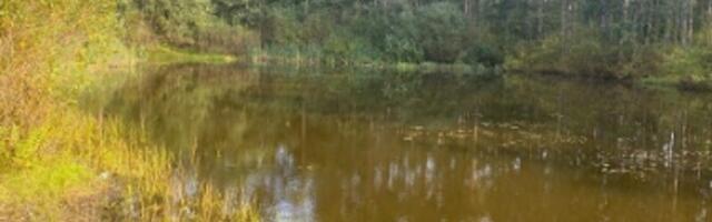 В Кохтла-Ярве очистят Оруский пруд