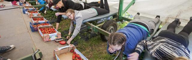 ОТВЕЧАЕТ ЮРИСТ | Есть ли какие-то препятствия для летней работы несовершеннолетних?