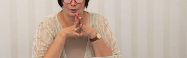 Райк об инциденте с дроном: эта война пришла и в наш двор