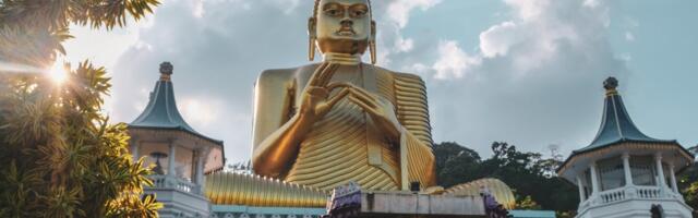 На Шри-Ланке хотят отменить визы для иностранцев