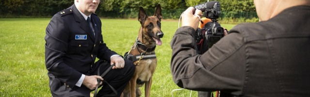 Служебная собака Ведур в очередной раз нашла заблудившегося в лесу человека