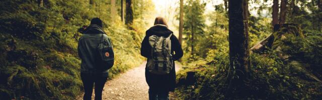 Полиция: десятки людей теряются в лесу в грибной сезон