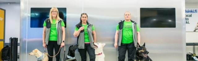 ФОТО: в аэропорту Хельсинки собаки будут искать COVID-19