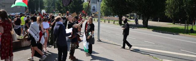 ФОТО | Сторонники Палестины собрались перед зданием МИДа. Они критикуют действия Цахкна 