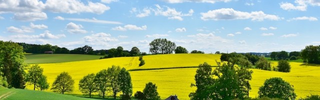 Прогноз погоды в Ида-Вирумаа на пятницу, 21 августа