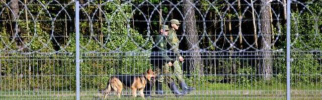 На границе с Беларусью пограничники развернули 11 нелегальных мигрантов