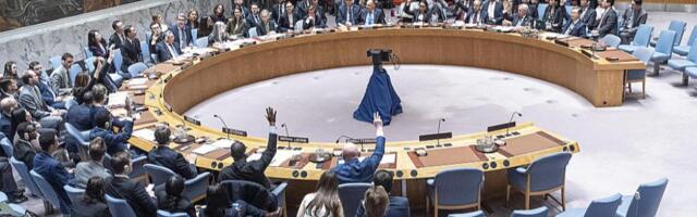 Латвия начинает работу в Совете Безопасности ООН