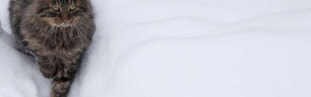 На Даугавпилсской станции наблюдений температура опустилась до -28 градусов